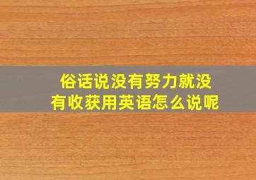 俗话说没有努力就没有收获用英语怎么说呢