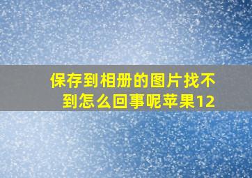 保存到相册的图片找不到怎么回事呢苹果12