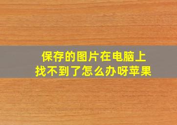 保存的图片在电脑上找不到了怎么办呀苹果