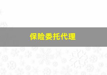 保险委托代理