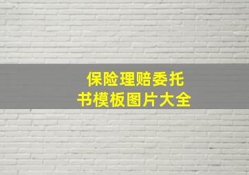 保险理赔委托书模板图片大全