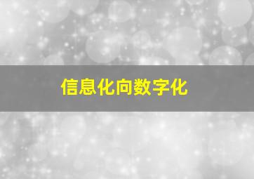 信息化向数字化