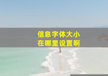 信息字体大小在哪里设置啊