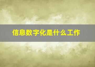 信息数字化是什么工作