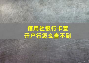 信用社银行卡查开户行怎么查不到