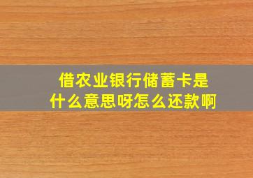 借农业银行储蓄卡是什么意思呀怎么还款啊