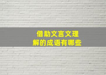 借助文言文理解的成语有哪些