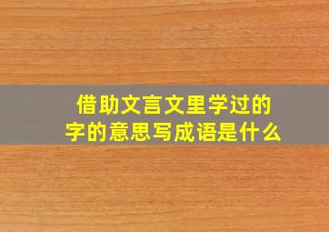 借助文言文里学过的字的意思写成语是什么