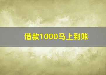 借款1000马上到账