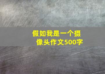 假如我是一个摄像头作文500字