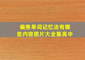 偏旁单词记忆法有哪些内容图片大全集高中