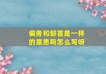 偏旁和部首是一样的意思吗怎么写呀