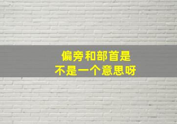 偏旁和部首是不是一个意思呀