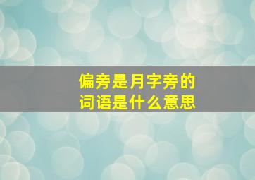 偏旁是月字旁的词语是什么意思