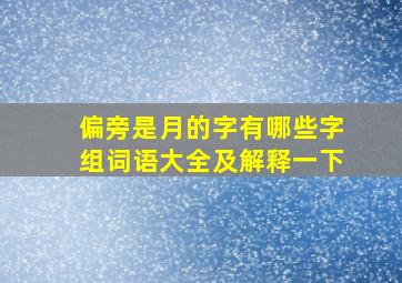 偏旁是月的字有哪些字组词语大全及解释一下