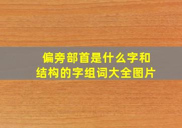 偏旁部首是什么字和结构的字组词大全图片