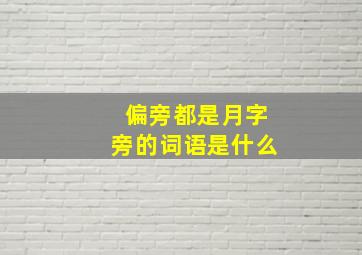 偏旁都是月字旁的词语是什么