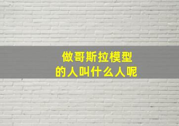 做哥斯拉模型的人叫什么人呢