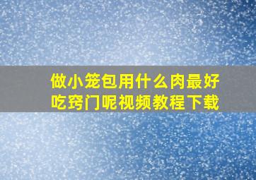 做小笼包用什么肉最好吃窍门呢视频教程下载