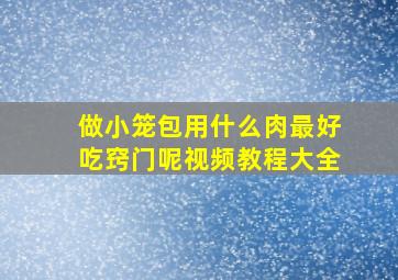 做小笼包用什么肉最好吃窍门呢视频教程大全