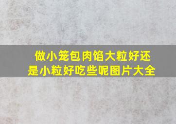 做小笼包肉馅大粒好还是小粒好吃些呢图片大全