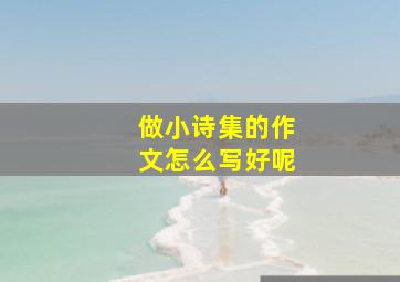 做小诗集的作文怎么写好呢