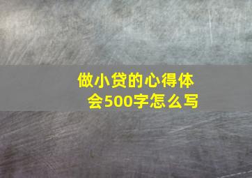 做小贷的心得体会500字怎么写