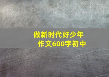 做新时代好少年作文600字初中