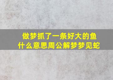 做梦抓了一条好大的鱼什么意思周公解梦梦见蛇