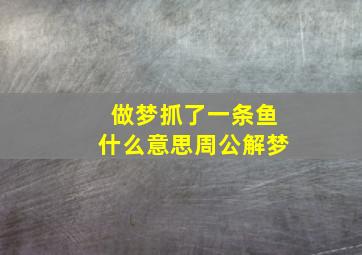 做梦抓了一条鱼什么意思周公解梦