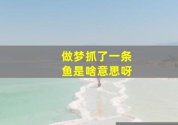 做梦抓了一条鱼是啥意思呀