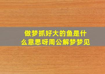 做梦抓好大的鱼是什么意思呀周公解梦梦见