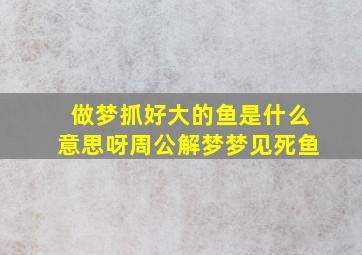 做梦抓好大的鱼是什么意思呀周公解梦梦见死鱼