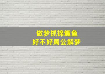 做梦抓锦鲤鱼好不好周公解梦