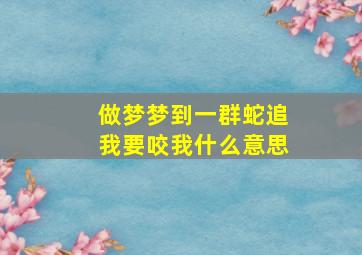 做梦梦到一群蛇追我要咬我什么意思