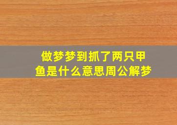 做梦梦到抓了两只甲鱼是什么意思周公解梦