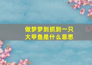 做梦梦到抓到一只大甲鱼是什么意思