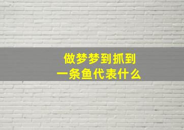 做梦梦到抓到一条鱼代表什么