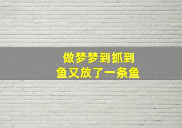 做梦梦到抓到鱼又放了一条鱼