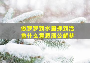 做梦梦到水里抓到活鱼什么意思周公解梦