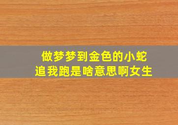 做梦梦到金色的小蛇追我跑是啥意思啊女生