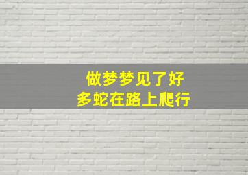 做梦梦见了好多蛇在路上爬行