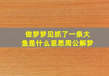 做梦梦见抓了一条大鱼是什么意思周公解梦