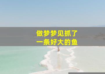 做梦梦见抓了一条好大的鱼