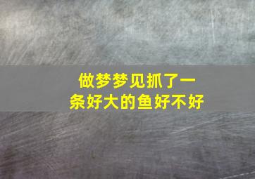 做梦梦见抓了一条好大的鱼好不好