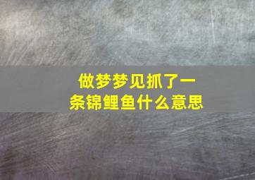 做梦梦见抓了一条锦鲤鱼什么意思