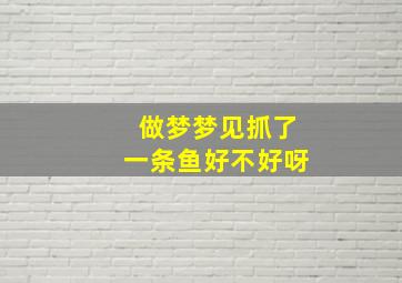 做梦梦见抓了一条鱼好不好呀