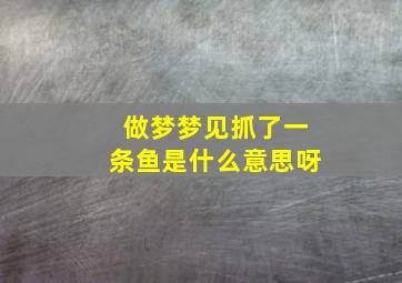 做梦梦见抓了一条鱼是什么意思呀