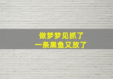 做梦梦见抓了一条黑鱼又放了