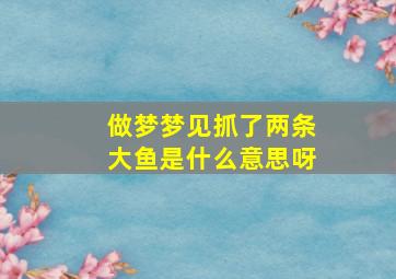 做梦梦见抓了两条大鱼是什么意思呀